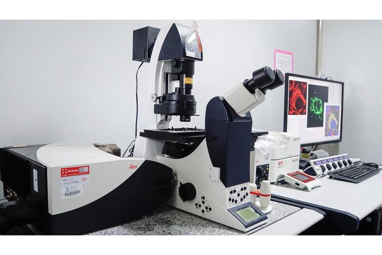 鼠标性能测试场景