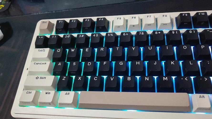 购物与产品选择场景