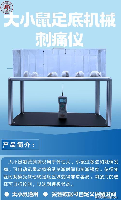 无线连接和电池示意图