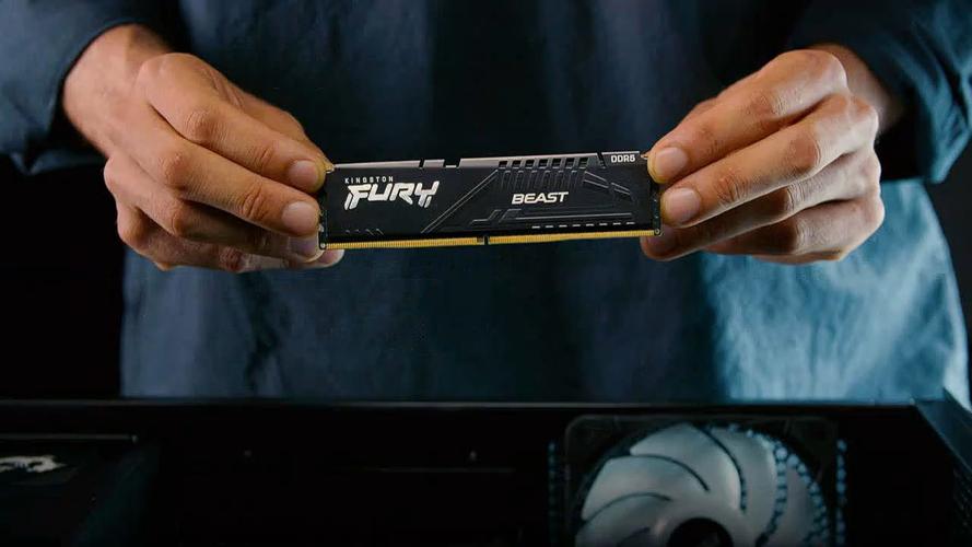 金士顿FURY Beast内存条外观展示