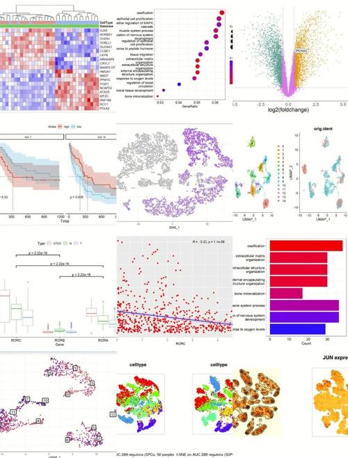 显示器价值评估