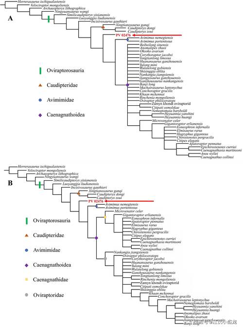 鼠标在办公场景中使用