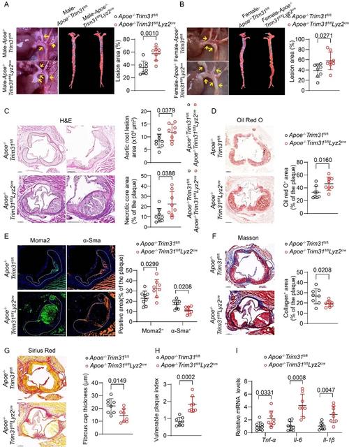 价格对比分析图表