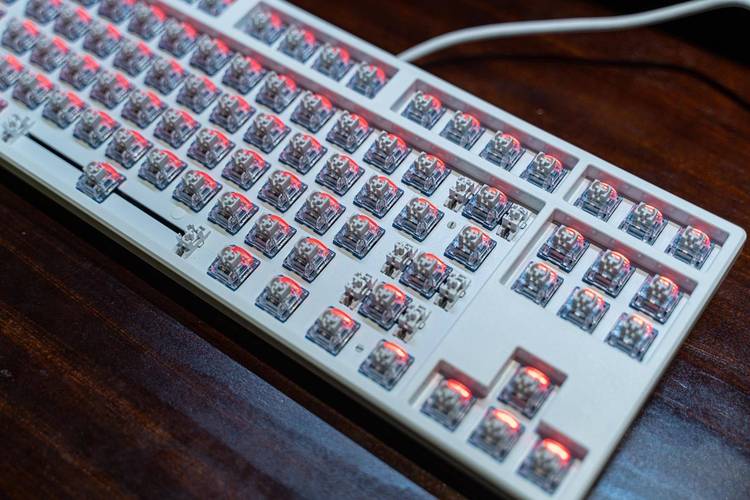 键盘内部结构展示