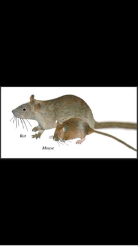 无线鼠标规格参数图解