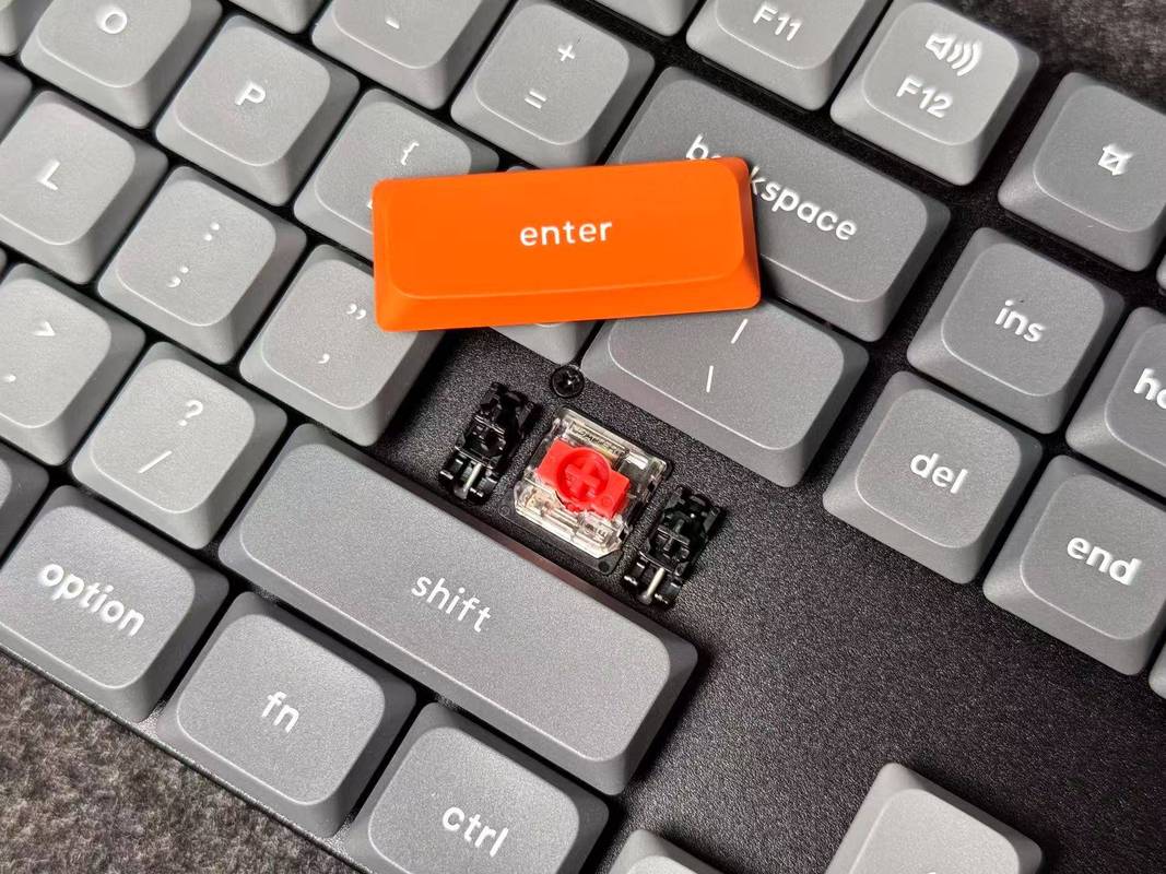 键盘核心组件展示