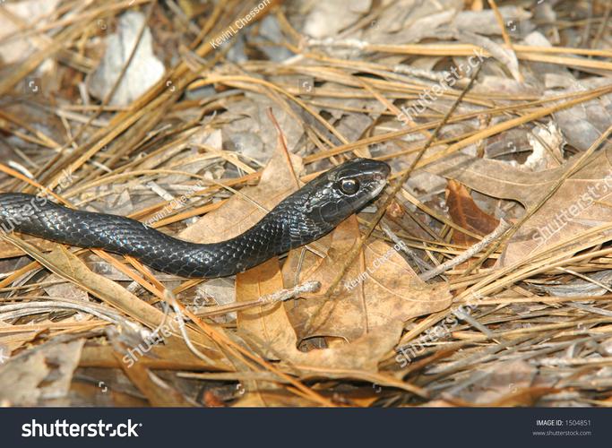 USB Type-C接口连接，展示有线供电