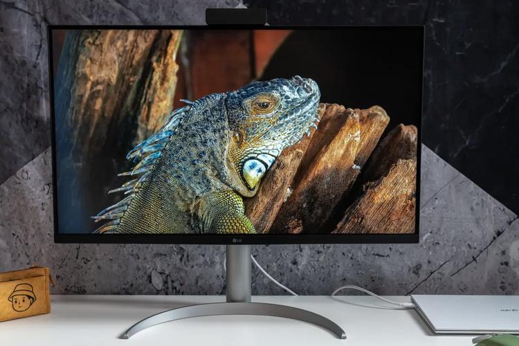 显示器支架调整细节