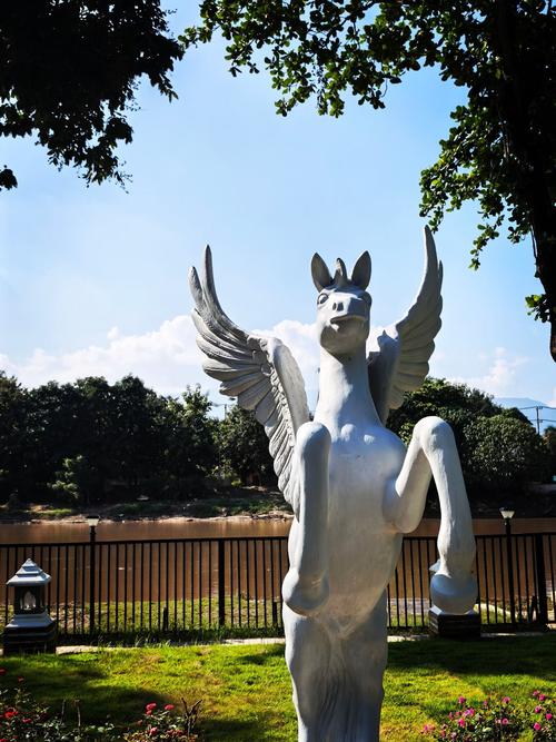 用户评价和购买建议