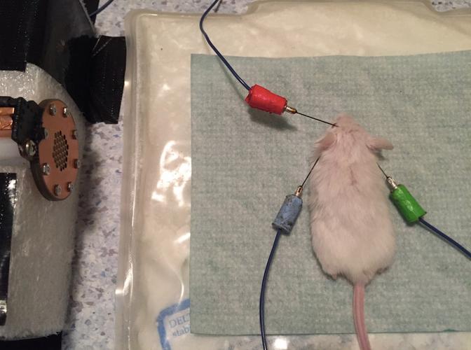 鼠标在游戏场景中使用