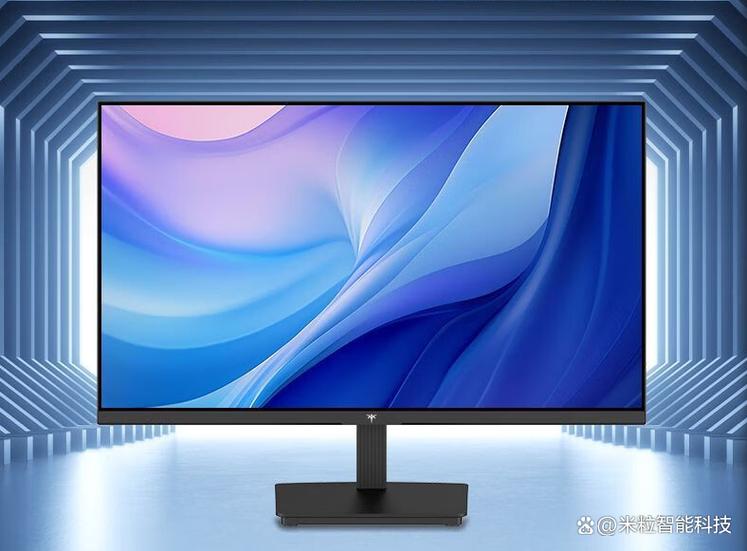 显示器背面和接口特写