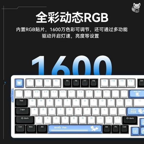 键盘连接接口展示