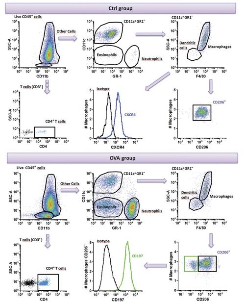 价格对比分析图表