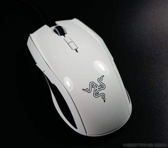 电脑鼠标和键盘特写