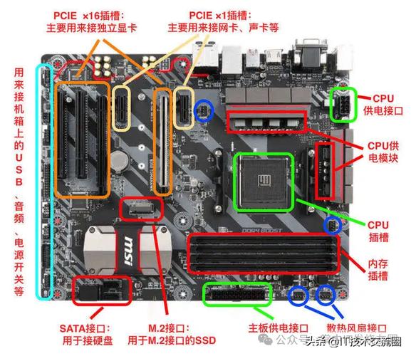 不同尺寸的固态硬盘并排展示