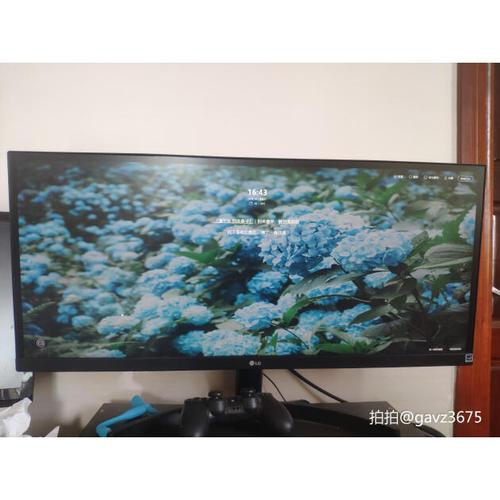 显示器接口细节