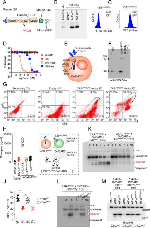 硬件价格分析图表