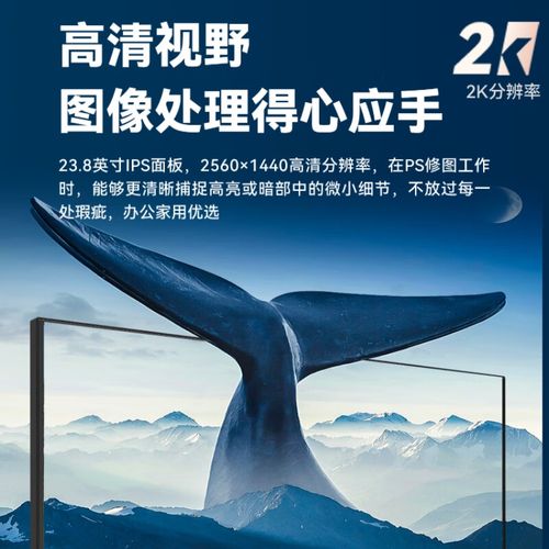 消费者选择显示器