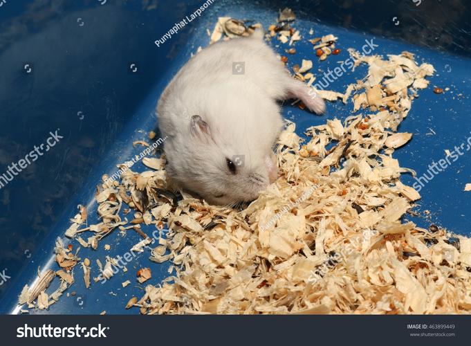 白色无线鼠标设计图