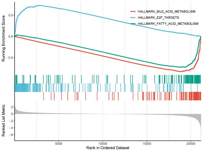 购物与性价比分析图表