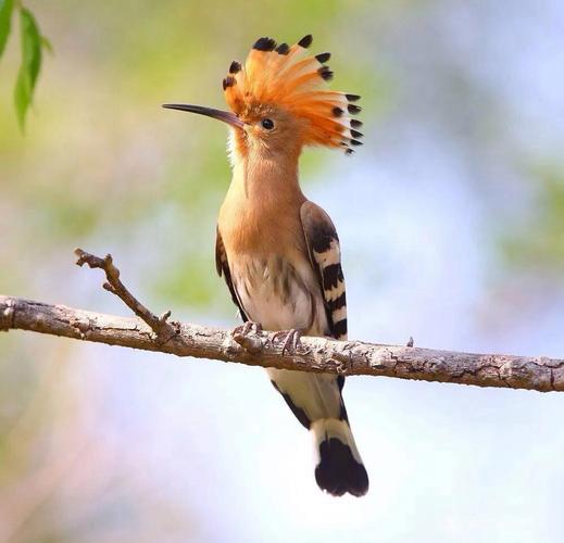 戴胜M530深度评测：极致性价比的办公入门之选