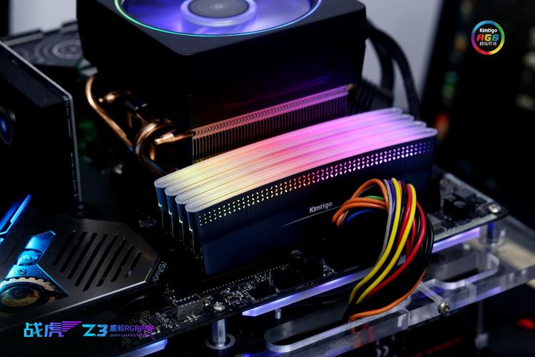 英睿达铂胜智能 vs 光威TYPE-α vs 金泰克战虎Z3 深度对比