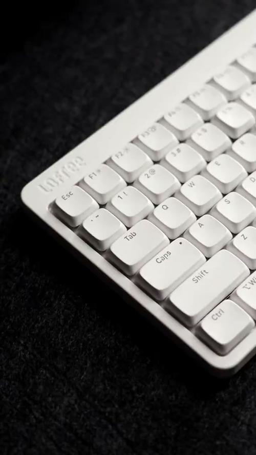 洛斐小顺青春版100键评测：客制化入门新选择，三模连接与Gasket结构加持