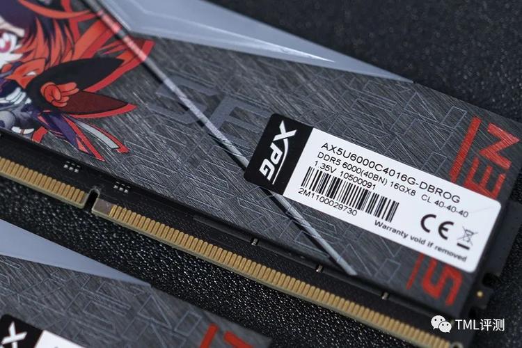 金百达刃RGB vs 威刚XPG龙耀D500G RO姬 深度对比