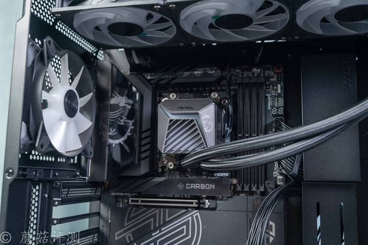 威刚XPG龙耀D41 RGB vs 金泰克战虎Z3 深度对比