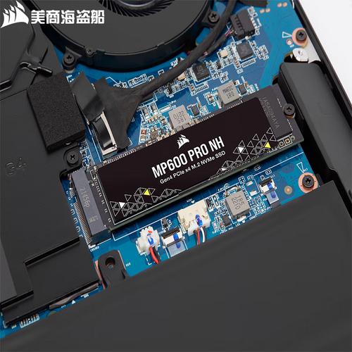 Goldendisk GWOS-256MS vs 海盗船 MP600 CORE vs 瑞势 S300 深度对比