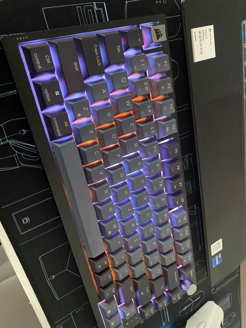 reccazr R68 vs 美商海盗船K65 RGB 深度对比