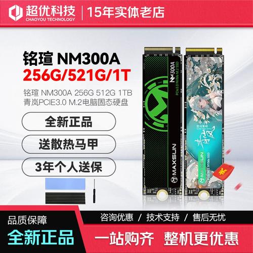 铭瑄SD1TBNM300A-2280评测：无缓存1TB固态硬盘，3200MB/s读取速度的性价比之选