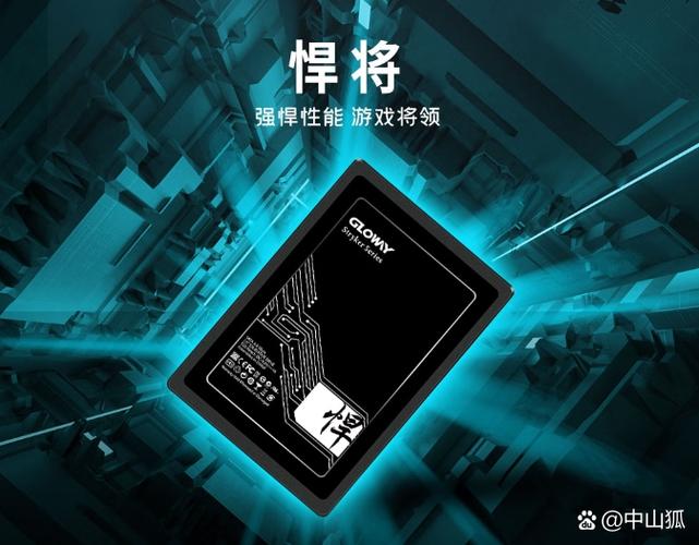 光威SC7000 512GB vs 金士顿HyperX Savage 480GB 深度对比