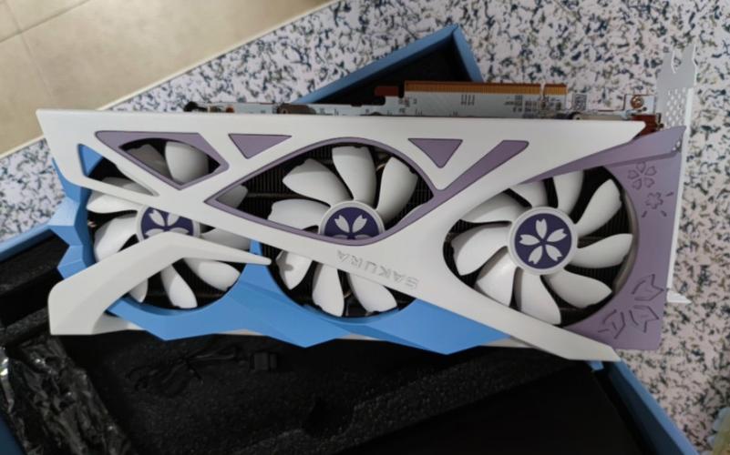 盈通RX6700XT樱瞳花嫁纪念版 vs 七彩虹iGame950冰封骑士Mini深度对比