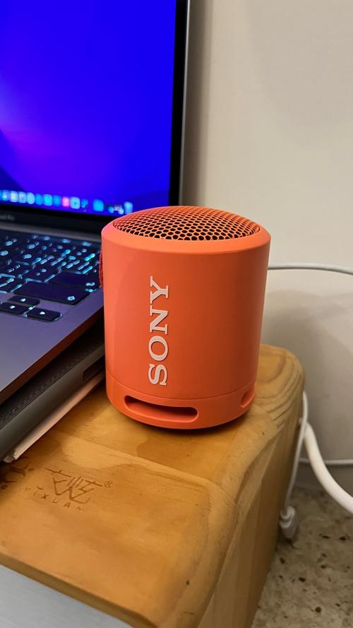 Sony portable speaker in use for outdoor activities