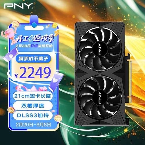 玩家选择高性能显卡与普通用户选择入门卡场景对比