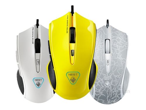 Person shopping for computer hardware