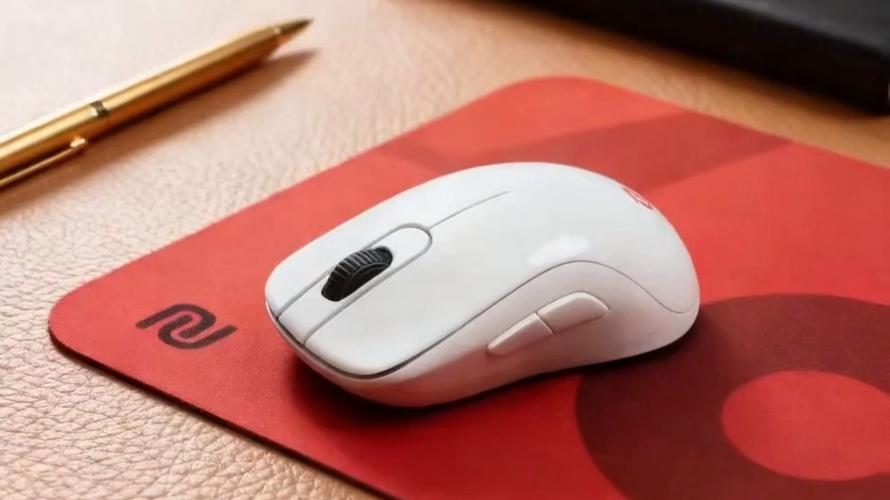 ZOWIE S2-DW 游戏性能测试场景