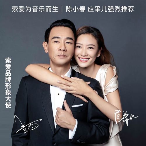 音箱购买决策参考