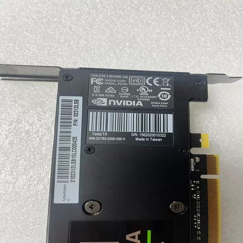 NVIDIA Tesla T4 性能测试场景