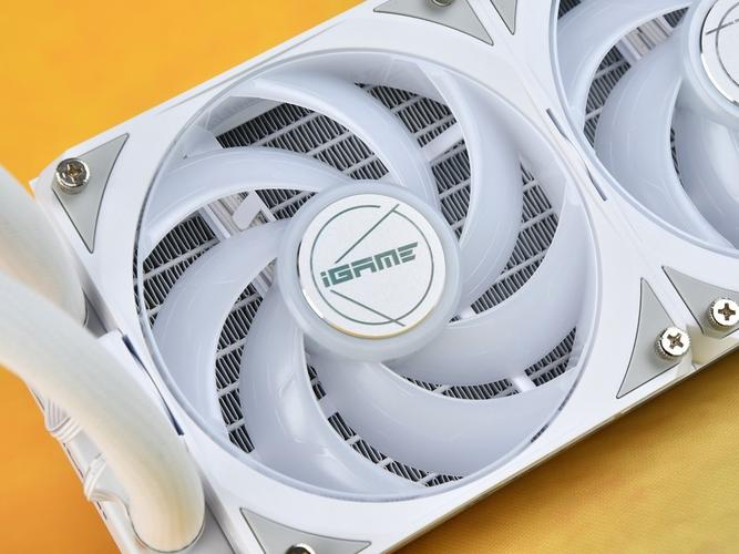 高端水冷 GPU 细节