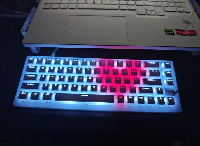 Gamer using RGB keyboard
