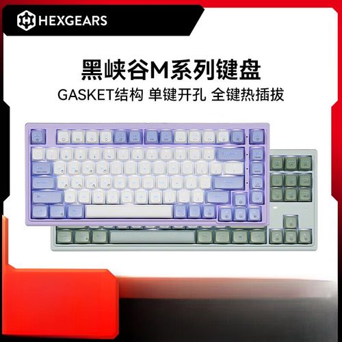 Mechanical keyboard with backlight technical view