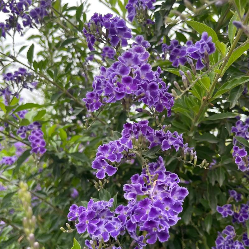 Reccazr R68 功耗与电池性能