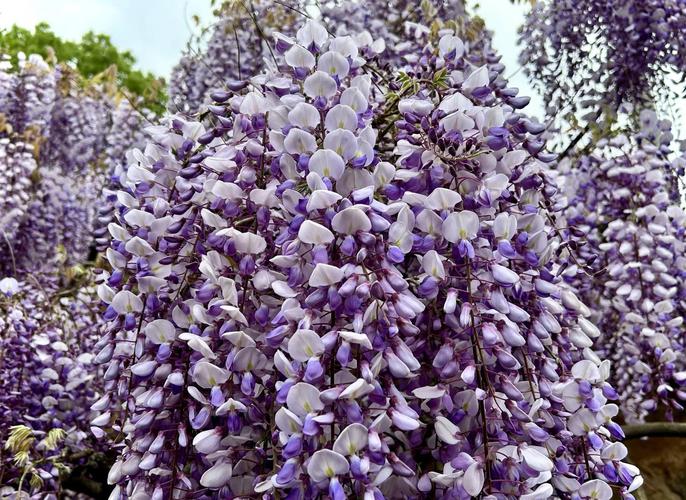 键盘电池与功耗相关