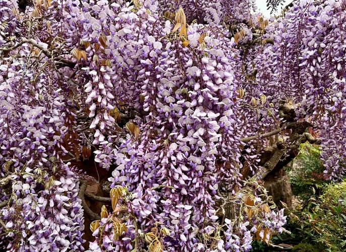 Reccazr R100 桌面搭配建议