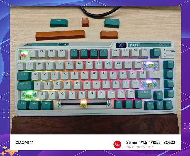 Person buying computer peripherals