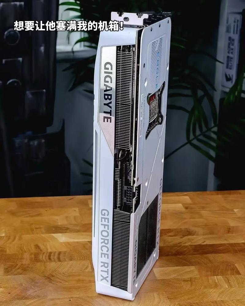 价格与性价比分析图表