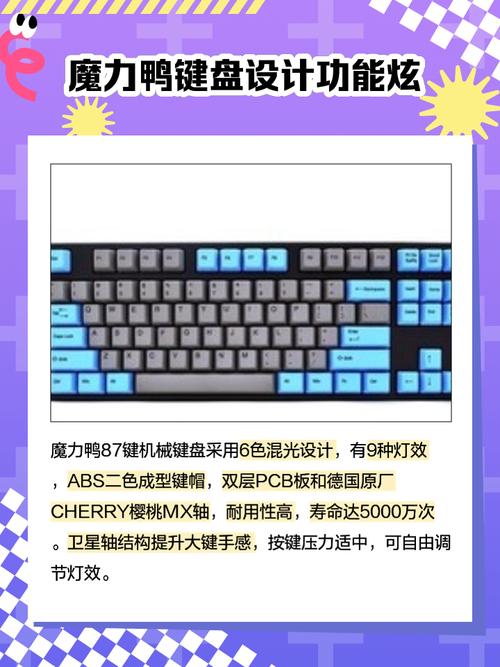 键盘技术参数特写