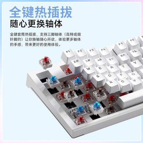 红轴机械键盘核心规格细节